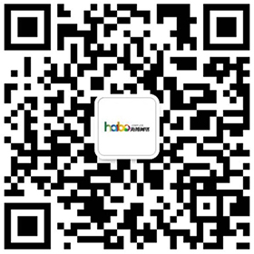 扫描++/加微信； 衢州娱乐与游戏, 衢州娱乐与游戏，网站建设